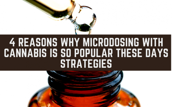 4 Reasons Why Microdosing With Cannabis is so Popular These Days