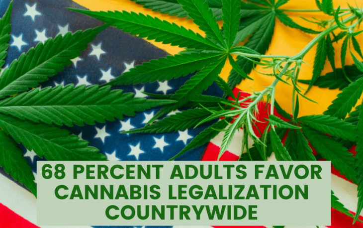 68 Percent Adults Favor Cannabis Legalization Countrywide
