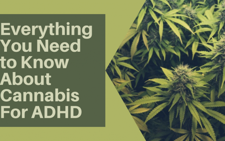 Everything-You-Need-to-Know-About-Cannabis-For-ADHD1-730x458