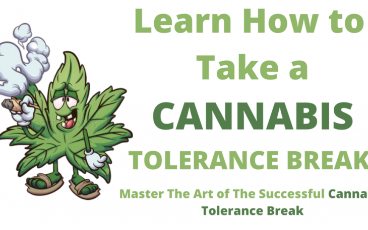Learn How to Take a Tolerance Break From Cannabis