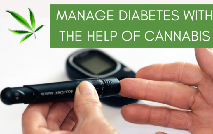 Manage diabetes easily with the help of cannabis